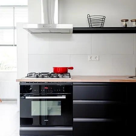 Sea Shell * 赞德沃特